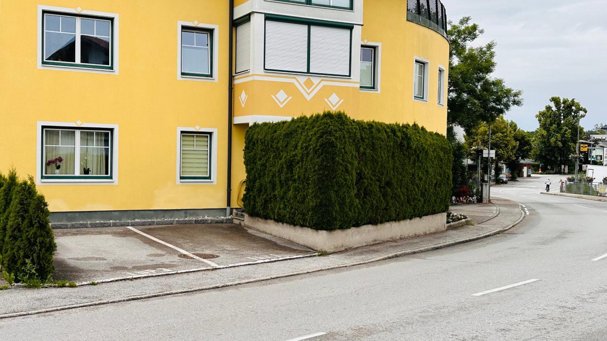 Naturparadies Salzburg-Land Seekirchen am Wallersee Esterno foto